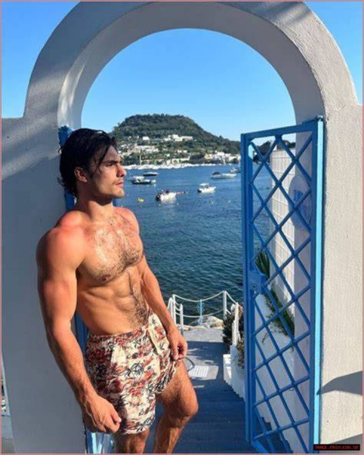 Dino Guglielmelli Height, Weight, Net Worth, Age, Birthday, Wikipedia, Who, Instagram, Biography